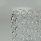 Vaso Decorativo Planta Redondo Home&co Vidro 20x14x14cm Trans