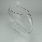 Vaso Decorativo Planta Redondo Home&co Vidro 28x12x34cm Trans