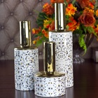 Vaso Decorativo Porcelana Granilite Branco/dourado 9x25cm Roj