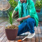 Vaso Decorativo Quadrado Nice 28 Jardim E Varanda 33