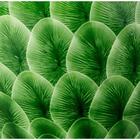 Vaso Decorativo Sala Quarto Midori Ceramica Verde Home & Co