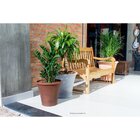 Vaso Decorativo Siena 45 Japi Terracota Italia