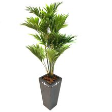 Vaso Decorativo Trapézio Albuquerque Peg Brdses 64cm