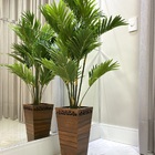 Vaso Decorativo Trapézio Denver Peg Brpfsd 64cm