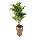 Vaso Decorativo Trapézio Filadelfia Peg Bnpfes 64cm