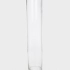 Vaso Decorativo Vidro Tubo Transparente 50cm Único