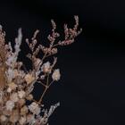 Vaso Decorativo Yangzi Poli 23cm Tuh3025