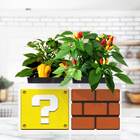 Vaso Duplo - Mario Bros