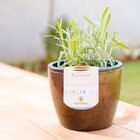 Vaso Elegance Autoirrigável 03 Nutriplan Travertino