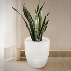 Vaso Em Polietileno Grande Com Capacidade De 60l