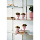 VASO EM POLIRESINA 14x 11 x 9,5cm, ROSE