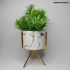 Vaso Em Porcelana Com Tripé Dourado 14 X 8,3cm Black Gold