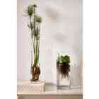 Vaso Em Vidro 16204 Mart