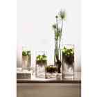 Vaso Em Vidro 16206 Mart