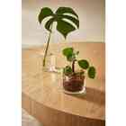 Vaso Em Vidro 16208 Mart