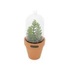 Vaso Em Vidro Com Tampa Urban Cotyledun 8 9x22cm Verde E Lara