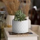 Vaso Estados Artesanal Decorativo 10cm São Paulo Em Cimento