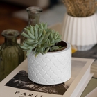 Vaso Estados Artesanal Decorativo 10cm São Paulo Em Cimento