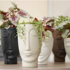 Vaso Face Homem 24 (2,75L) Cor Cimento NUTRIPLAN