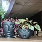 Vaso Face Menina 09 (1l) Preto Nutriplan