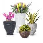 Vaso Face Menina 13 (3,3l) Cor Cimento Nutriplan