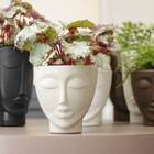 Vaso Face Mulher 25 (7L) Cor Cimento NUTRIPLAN