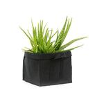 Vaso Feltro Yes We Grow Smartpot Retangular Grande - Preto