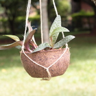 Vaso Fibra de Coco Marrom Cestimdama Coquim