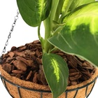 Vaso Fibra De Coco Suspenso 40cm Com Suporte Para Jardim