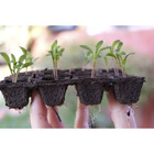 Vaso Fibra Sementeira 48 Biodegradável Marrom  Nagmobio