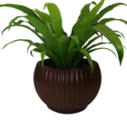 Vaso Flora 23x17cm Argila