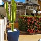 Vaso Florença 56 X 43 Cm Cimento - Alpe & Aritana