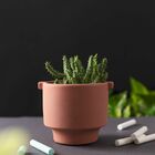 Vaso Fosco Terracota P