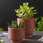 Vaso Fosco Terracota P