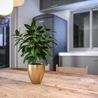 Vaso Frankfurt Paladio 10 Ref: Vcfd10 Japi