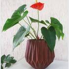 Vaso Geométrico Aresta (27x29) Cor Granito Areia Vasart