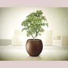 Vaso Grafiato Oval Areia 58 Nutriplan