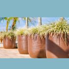 Vaso Grafiato Redondo Ferrugem 53cm Nutriplan