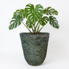 Vaso Grande em Argila 38x34cm verde Americano Bella Art Vetrificados