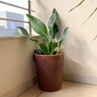 Vaso Grande para Plantas Marrom 38x33cm