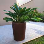 Vaso Grande para Plantas Marrom 38x33cm