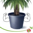 Vaso Hércules 100 (100l) Preto Nutriplan