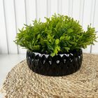 Vaso Ikebana Preto Baixo Enfeite De Mesa Cerâmico C/ Arranjo