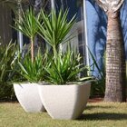 Vaso Innovare Piccolo Japi Cimento