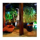 Vaso Italia Quadratto Japi Café