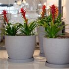 Vaso Japi Europa Redondo 33 Mármore Jverr33