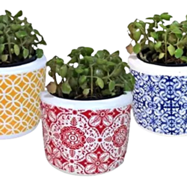 Vaso Jardim Cachepo Trio Suculenta Cerâmica 5,3cm Diâmetro