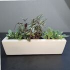 Vaso Jardineira Pequena Para Plantas e Flores 37cm Bege