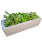 Vaso Jardineira Pequena Para Plantas e Flores 37cm Cinza