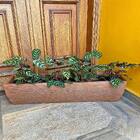 Vaso Jardineira Plantas Polietileno Marrom 100x20cm
